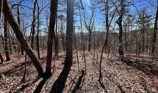 Photo #63 of 14528 Lee Jackson Hwy, Big Island, VA 70.1 acres