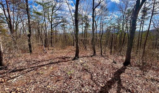 Photo #41 of 14528 Lee Jackson Hwy, Big Island, VA 70.1 acres