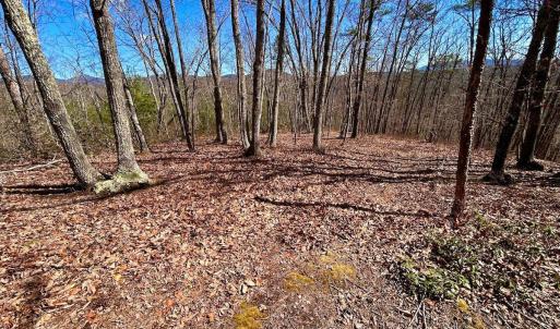 Photo #38 of 14528 Lee Jackson Hwy, Big Island, VA 70.1 acres