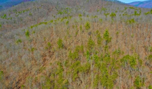 Photo #60 of 14528 Lee Jackson Hwy, Big Island, VA 70.1 acres