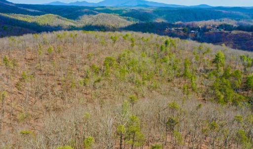 Photo #49 of 14528 Lee Jackson Hwy, Big Island, VA 70.1 acres