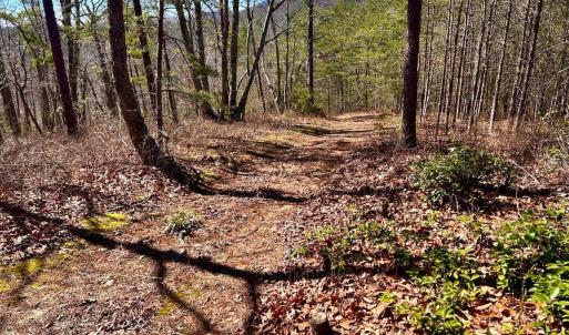 Photo #42 of 14528 Lee Jackson Hwy, Big Island, VA 70.1 acres