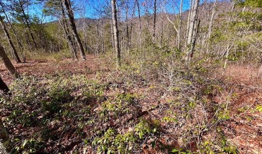 Photo #51 of 14528 Lee Jackson Hwy, Big Island, VA 70.1 acres