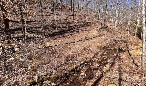 Photo #64 of 14528 Lee Jackson Hwy, Big Island, VA 70.1 acres