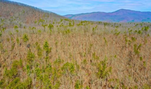 Photo #59 of 14528 Lee Jackson Hwy, Big Island, VA 70.1 acres