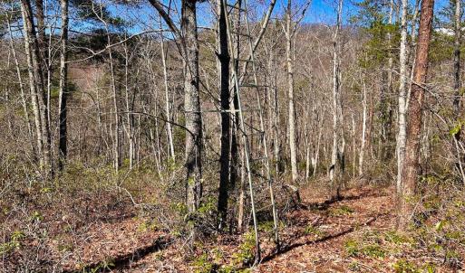 Photo #40 of 14528 Lee Jackson Hwy, Big Island, VA 70.1 acres