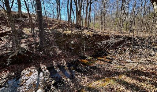 Photo #23 of 14528 Lee Jackson Hwy, Big Island, VA 70.1 acres