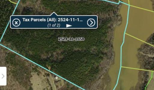 Photo #3 of Paisley Road, Gretna, VA 76.0 acres
