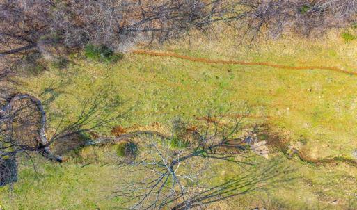 Photo #16 of Puppy Creek, Amherst, VA 24.3 acres
