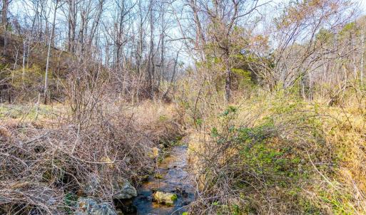 Photo #5 of Puppy Creek, Amherst, VA 24.3 acres