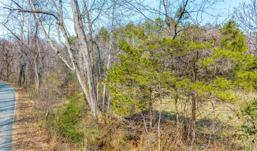 Photo #6 of Puppy Creek, Amherst, VA 24.3 acres