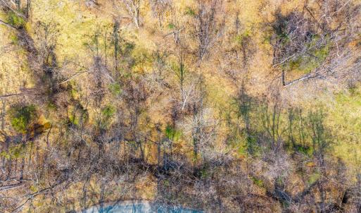 Photo #14 of Puppy Creek, Amherst, VA 24.3 acres