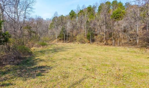 Photo #13 of Puppy Creek, Amherst, VA 24.3 acres