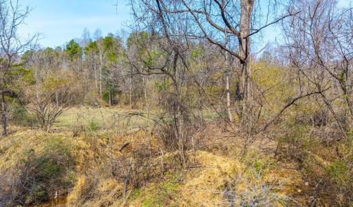 Photo #4 of Puppy Creek, Amherst, VA 24.3 acres