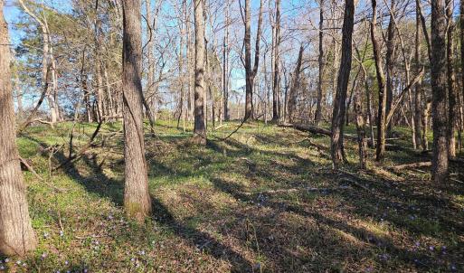 Photo #4 of Layne Street, Farmville, VA 2.4 acres