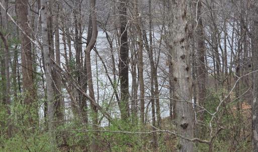 Photo #2 of Horseshoe Bend Road, Goodview, VA 1.6 acres