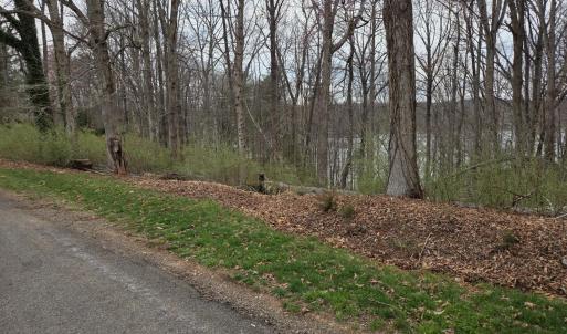 Photo #7 of Horseshoe Bend Road, Goodview, VA 1.6 acres