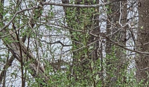 Photo #4 of Horseshoe Bend Road, Goodview, VA 1.6 acres