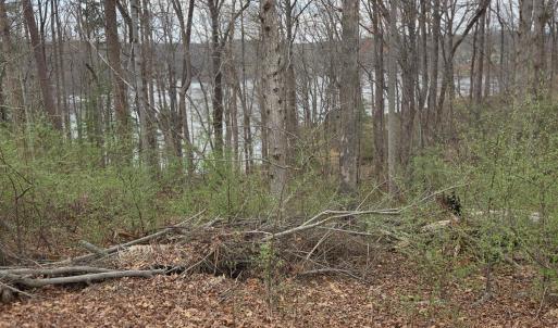 Photo #3 of Horseshoe Bend Road, Goodview, VA 1.6 acres