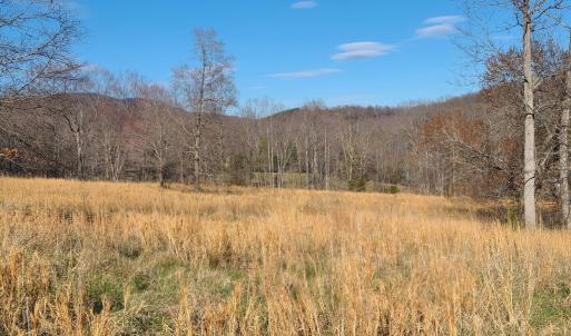 Photo #1 of Cifax Rd, Goode, VA 2.0 acres