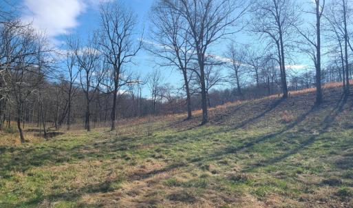 Photo #1 of Cifax Road, Goode, VA 2.0 acres