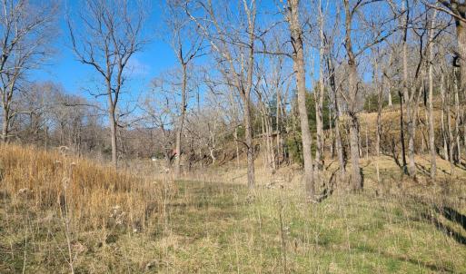 Photo #2 of Cifax Road, Goode, VA 2.0 acres