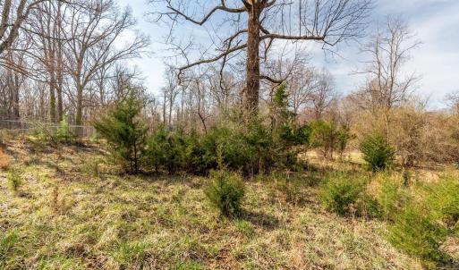 Photo #22 of Ridge Drive, Amherst, VA 1.6 acres