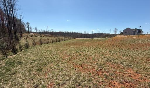 Photo #3 of 202 Waughs Landing Drive, Lynchburg, VA 0.2 acres