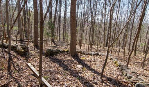 Photo #13 of 9 Oak Dr, Moneta, VA 5.3 acres