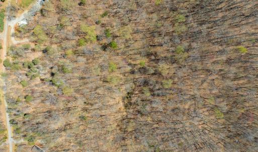 Photo #7 of 9 Oak Dr, Moneta, VA 5.3 acres