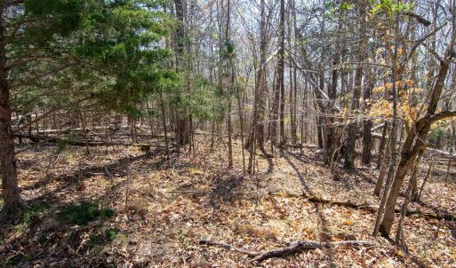 Photo #12 of 9 Oak Dr, Moneta, VA 5.3 acres