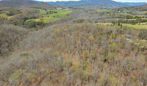 Photo #5 of 9 Oak Dr, Moneta, VA 5.3 acres