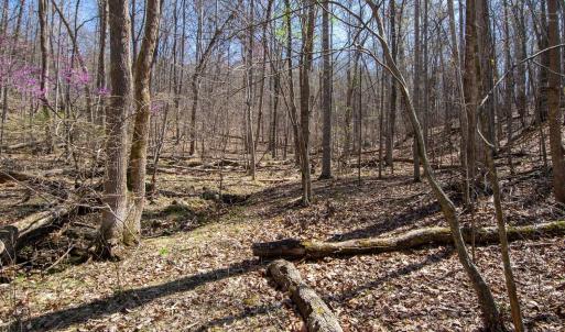 Photo #20 of 9 Oak Dr, Moneta, VA 5.3 acres