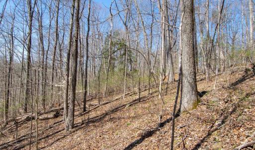 Photo #18 of 9 Oak Dr, Moneta, VA 5.3 acres