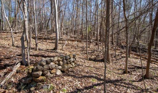 Photo #15 of 9 Oak Dr, Moneta, VA 5.3 acres