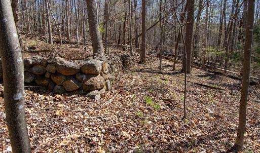 Photo #14 of 9 Oak Dr, Moneta, VA 5.3 acres