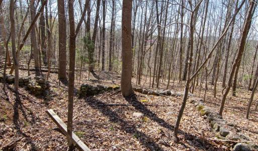 Photo #13 of 9 Oak Dr, Moneta, VA 5.3 acres