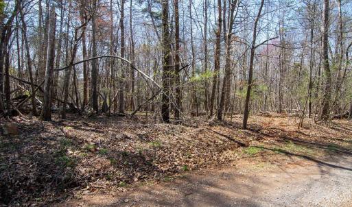 Photo #11 of 9 Oak Dr, Moneta, VA 5.3 acres