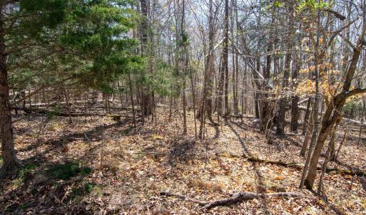 Photo #12 of 9 Oak Dr, Moneta, VA 5.3 acres