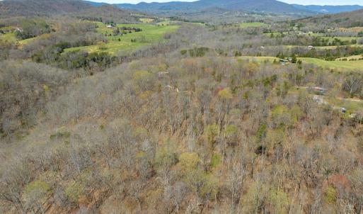 Photo #5 of 9 Oak Dr, Moneta, VA 5.3 acres