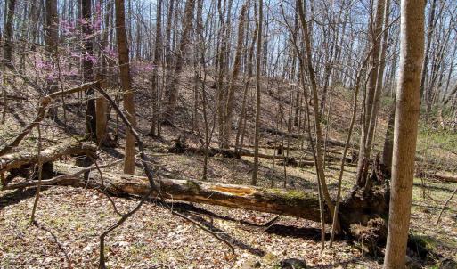 Photo #19 of 9 Oak Dr, Moneta, VA 5.3 acres