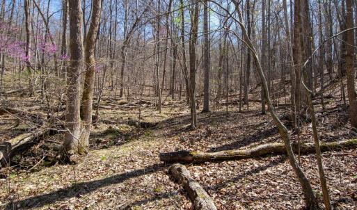 Photo #20 of 9 Oak Dr, Moneta, VA 5.3 acres