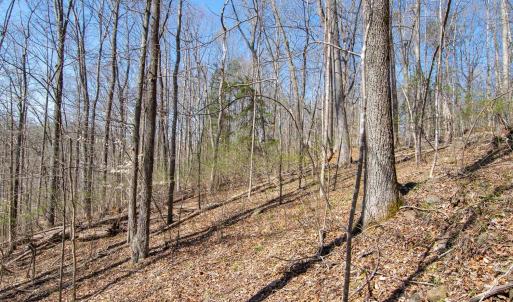 Photo #18 of 9 Oak Dr, Moneta, VA 5.3 acres