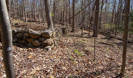 Photo #14 of 9 Oak Dr, Moneta, VA 5.3 acres