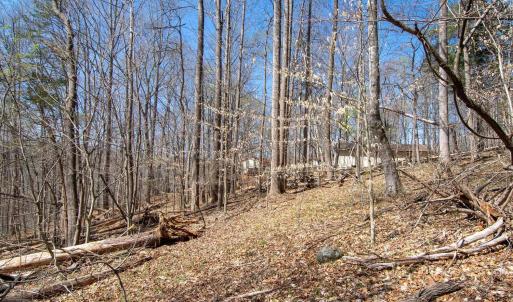 Photo #17 of 9 Oak Dr, Moneta, VA 5.3 acres