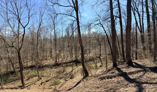 Photo #8 of Country Club Road, Appomattox, VA 6.2 acres