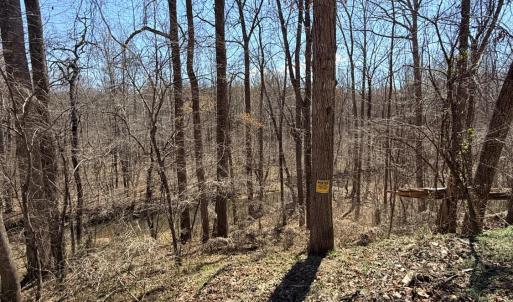 Photo #5 of Country Club Road, Appomattox, VA 6.2 acres