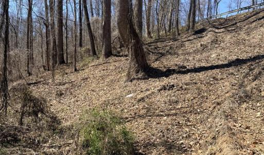 Photo #3 of Country Club Road, Appomattox, VA 6.2 acres