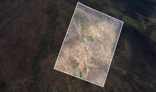 Photo #42 of 1215 Battery Hill Lane, Tyro, VA 37.1 acres