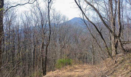 Photo #6 of 1215 Battery Hill Lane, Tyro, VA 37.1 acres